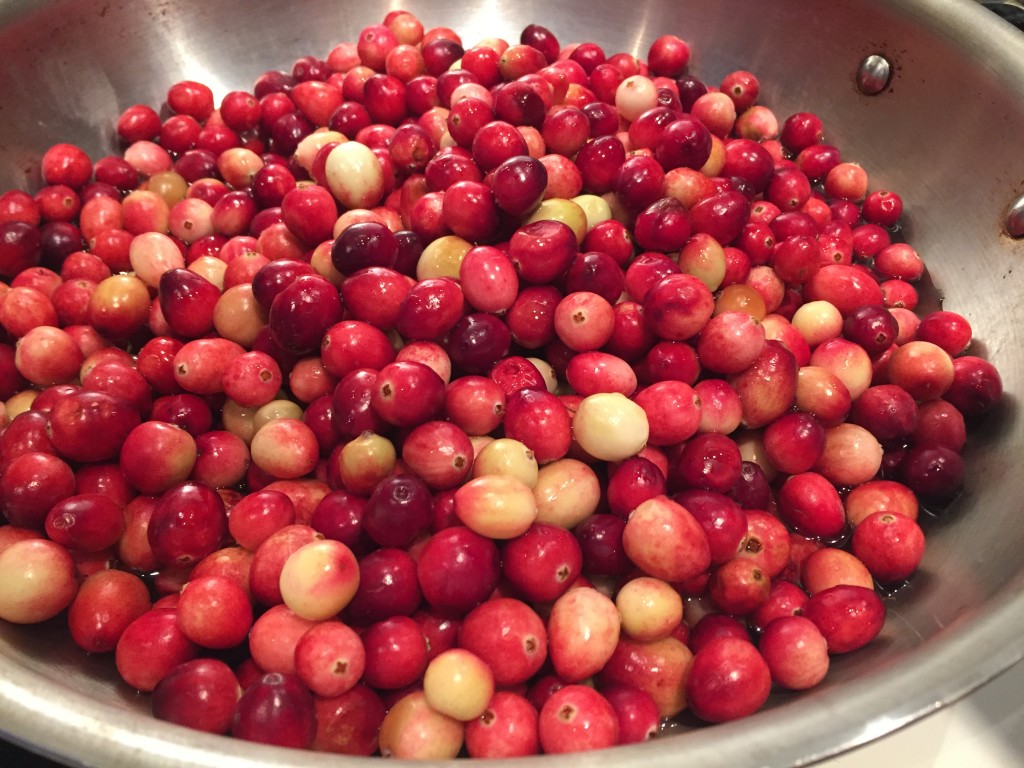 Unsweetened Dried Cranberries CSA365